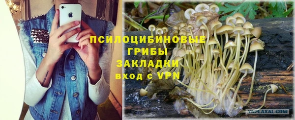 прущий лед Михайловка