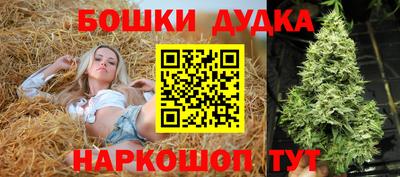 индика Беслан