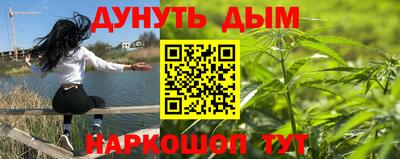 индика Беслан