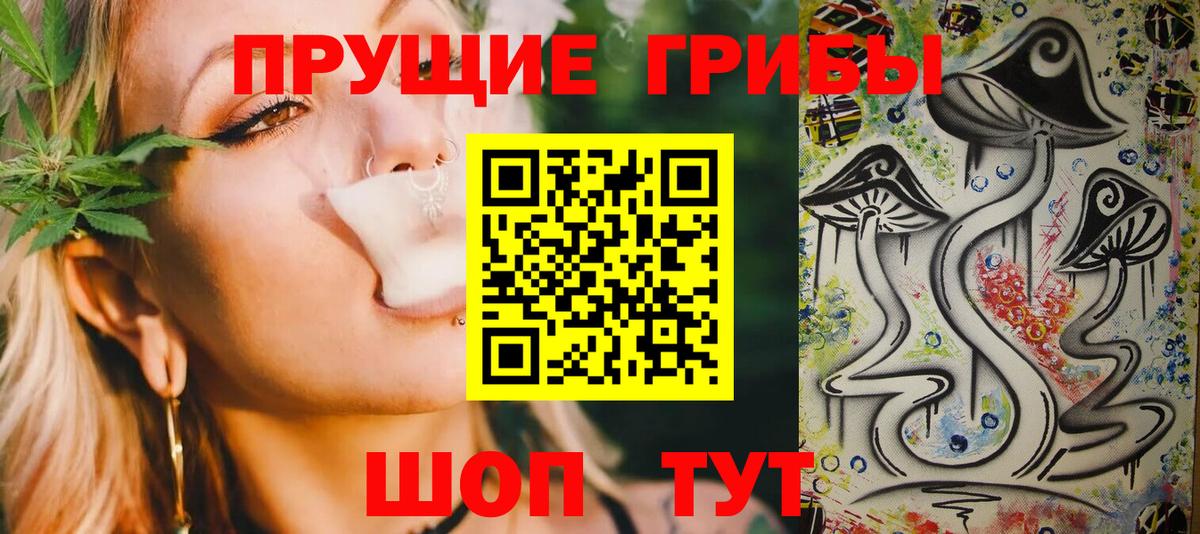 Псилоцибиновые грибы прущие грибы  Томск 