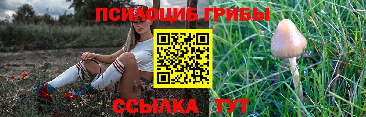 Томск  Галлюциногенные грибы Cubensis  Псилоцибиновые грибы Magic Shrooms  Вход с VPN 
